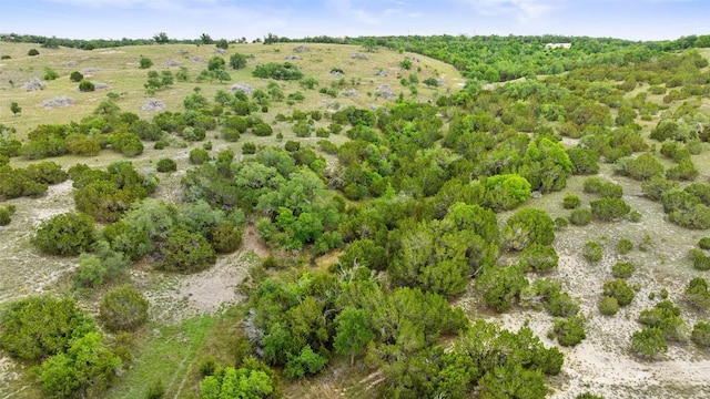 1278 Sanctuary Ln, Blanco, TX 78606 - view of property location