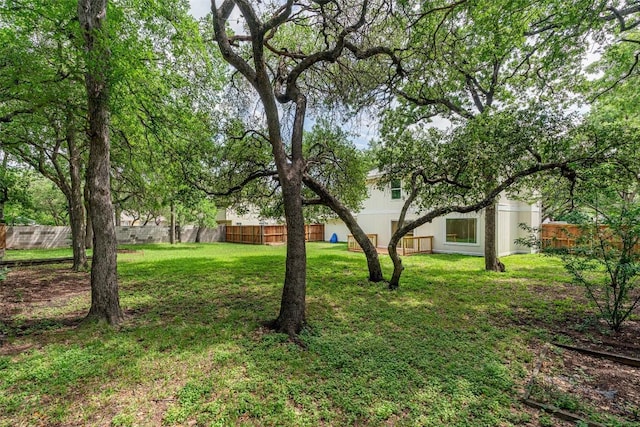 2105 Emerald Isle Dr, Leander, TX 78641 - view of yard