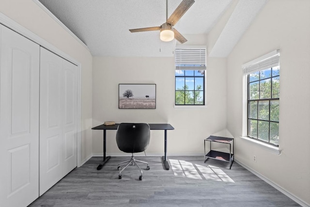 8805 Clearbrook Trl Unit A, Austin, TX 78729 - office space featuring a ceiling fan, wood finished floors, a textured ceiling, baseboards, and lofted ceiling