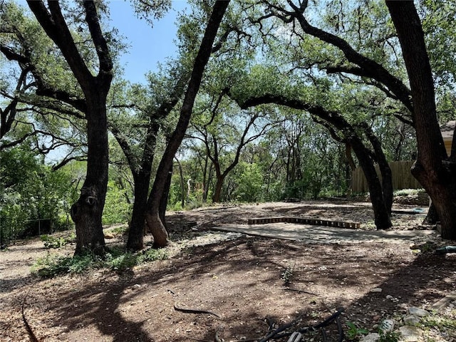 view of undeveloped land