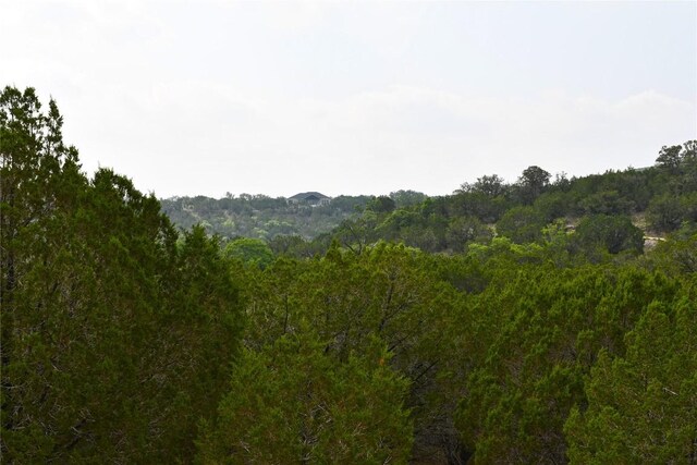 25012 Montana Creek Xing, Marble Falls, TX 78654 - photo 35