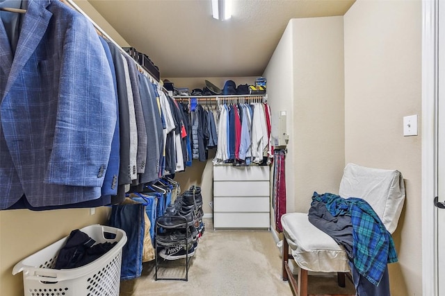 201 Tulip Trail Bnd, Cedar Park, TX 78613 - walk in closet with carpet