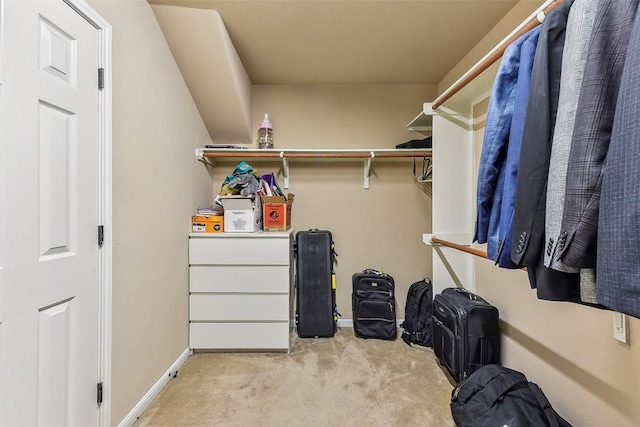 201 Tulip Trail Bnd, Cedar Park, TX 78613 - walk in closet with light carpet