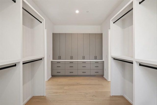 2502 Barhill Dr, Austin, TX 78704 - spacious closet with light wood-type flooring