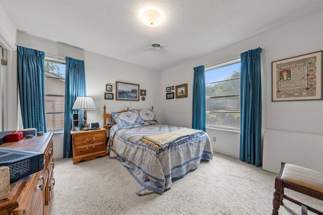 3108 W Terrace Dr, Austin, TX 78757 - bedroom with light carpet, multiple windows, and a textured ceiling