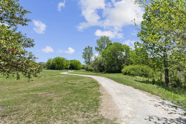 11729 Timber Heights Dr, Austin, TX 78754 - view of road