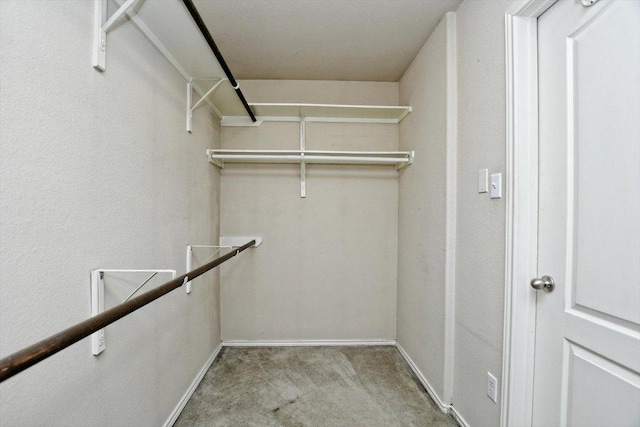 15628 Interlachen Dr, Austin, TX 78717 - walk in closet featuring carpet floors