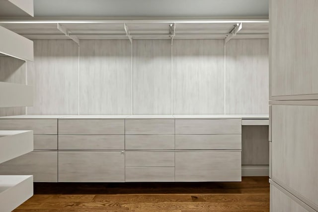 walk in closet featuring dark wood-style flooring
