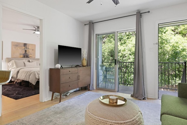 3204 Menchaca Rd Unit 716, Austin, TX 78704 - living area featuring a ceiling fan, plenty of natural light, and wood finished floors