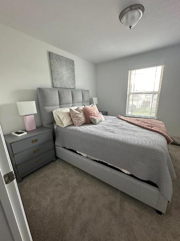 2050 Egret Ave, New Braunfels, TX 78132 - view of carpeted bedroom