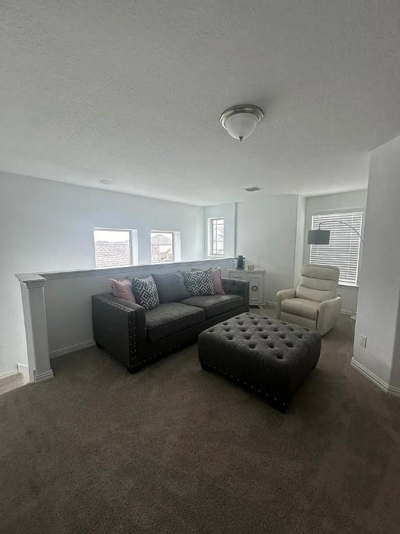 2050 Egret Ave, New Braunfels, TX 78132 - living room with carpet flooring and baseboards