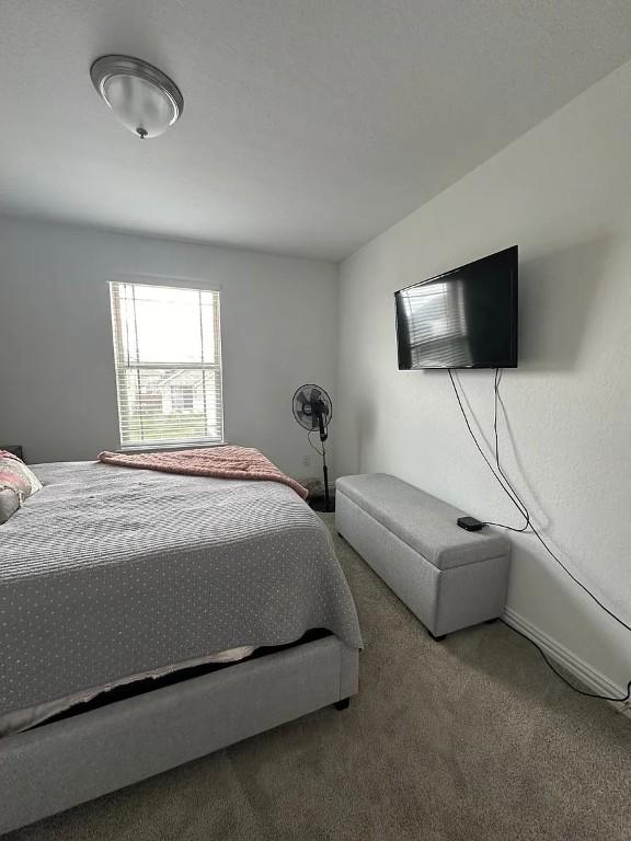 2050 Egret Ave, New Braunfels, TX 78132 - view of carpeted bedroom