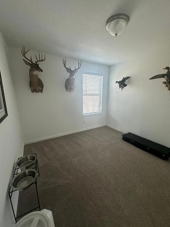 2050 Egret Ave, New Braunfels, TX 78132 - unfurnished room featuring dark colored carpet and baseboards