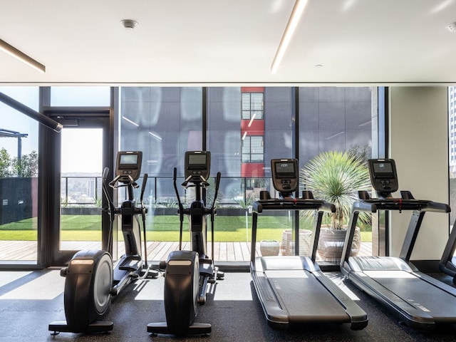 gym featuring a wall of windows