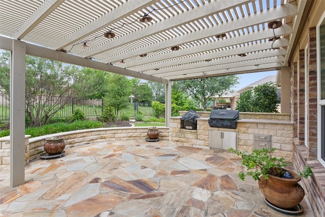419 Davis Mountain Cir, Georgetown, TX 78633 - fenced backyard featuring a patio and a pergola