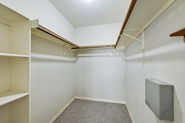 2713 Oakwood Glen Dr, Cedar Park, TX 78613 - spacious closet featuring carpet