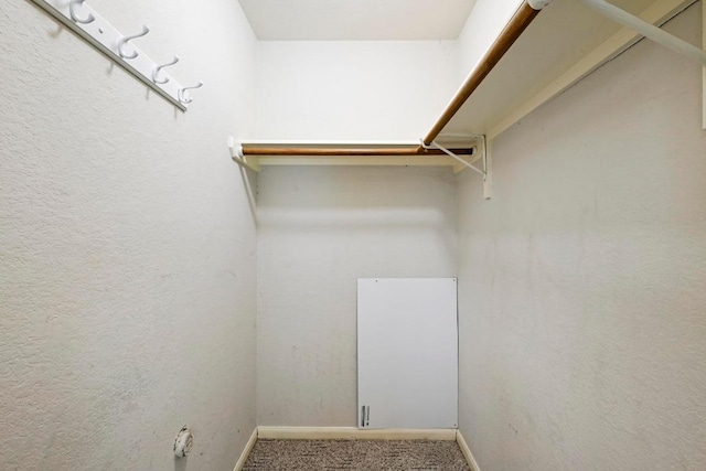 2713 Oakwood Glen Dr, Cedar Park, TX 78613 - spacious closet with carpet floors
