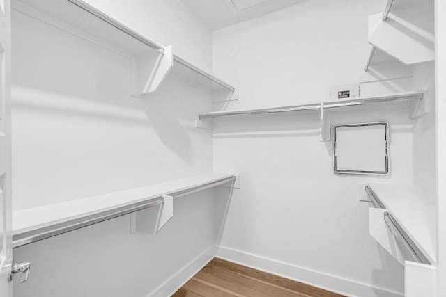 2505 Bluebonnet Ave Unit 5, Austin, TX 78704 - photo 23