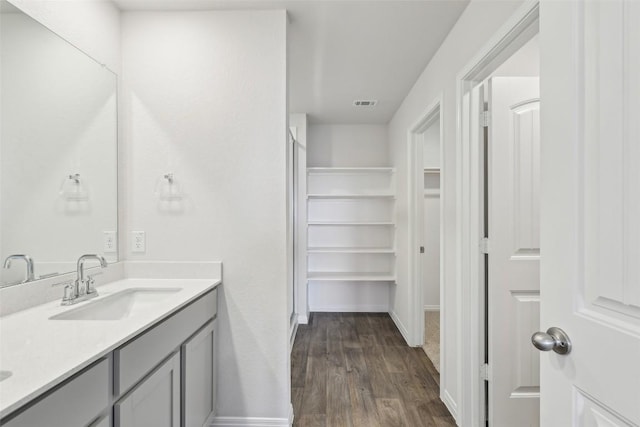528 Evergreen Sumac Loop, Kyle, TX 78640 - bathroom with wood finished floors, a walk in closet, vanity, and baseboards