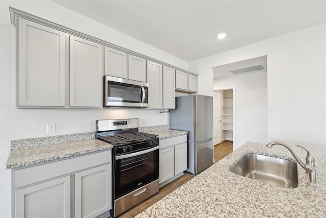 528 Evergreen Sumac Loop, Kyle, TX 78640 - kitchen featuring stainless steel appliances, a sink, wood finished floors, gray cabinetry, and light stone counters
