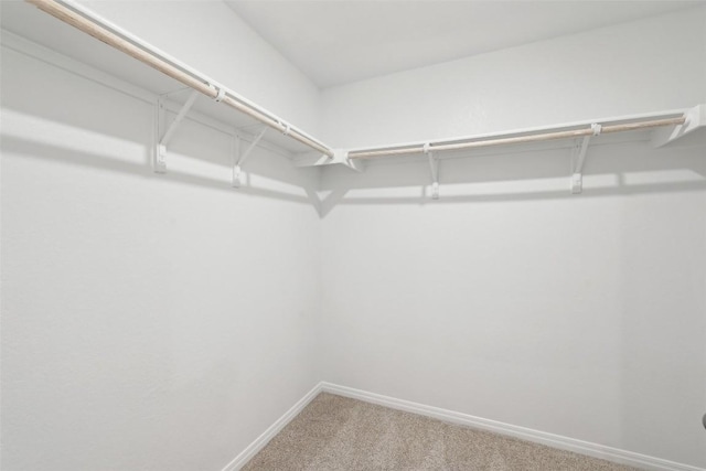 528 Evergreen Sumac Loop, Kyle, TX 78640 - walk in closet featuring carpet