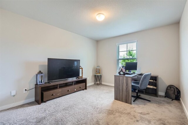 17301 Leafroller Dr Unit A, Pflugerville, TX 78660 - office space featuring carpet and baseboards