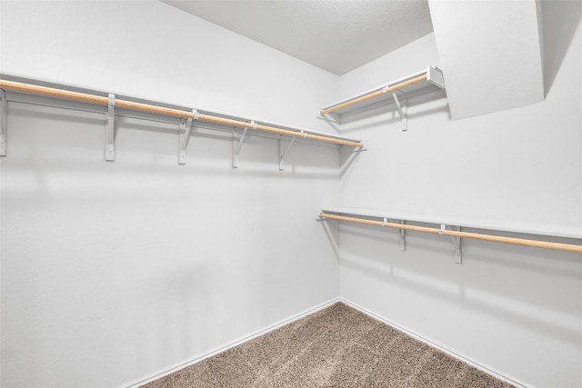 spacious closet with carpet floors