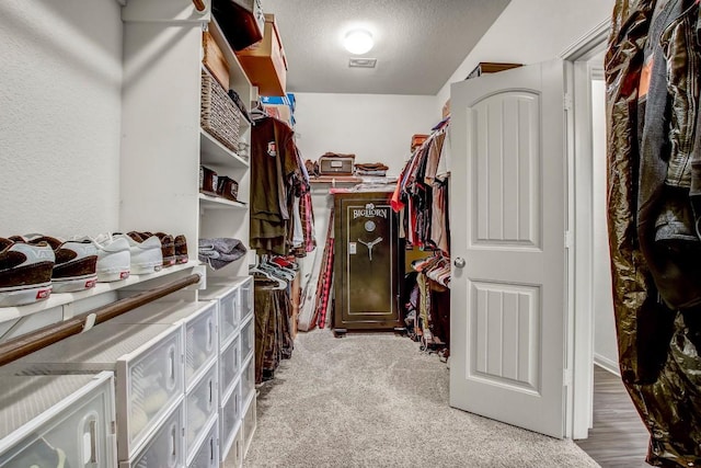 spacious closet with carpet