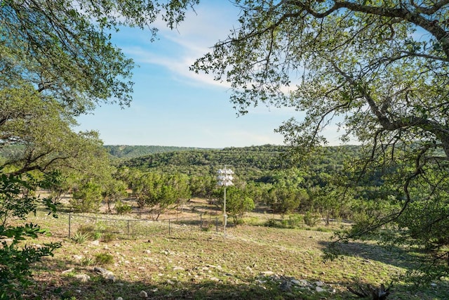 view of local wilderness