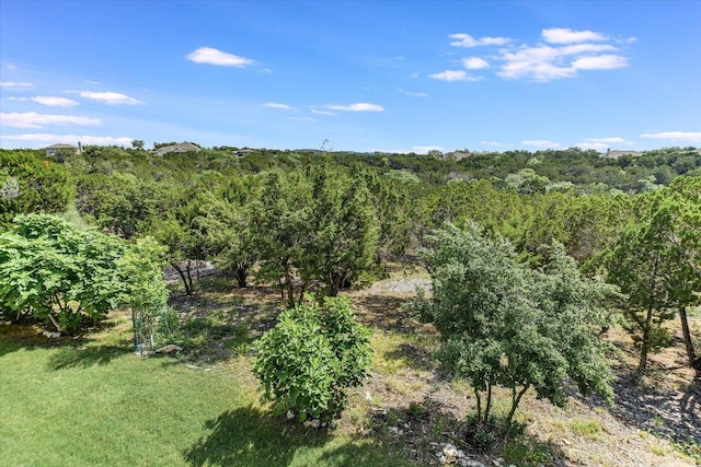 19440 Serenity Ln, Lago Vista, TX 78645 - view of tree filled area