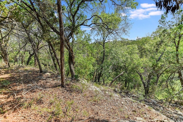 view of woods