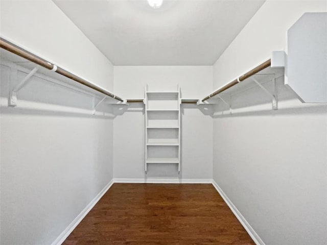 324 Pack Horse Dr, Bastrop, TX 78602 - spacious closet featuring wood finished floors