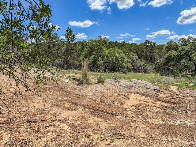 20904 Marquette Cv, Lago Vista, TX 78645 - photo 3