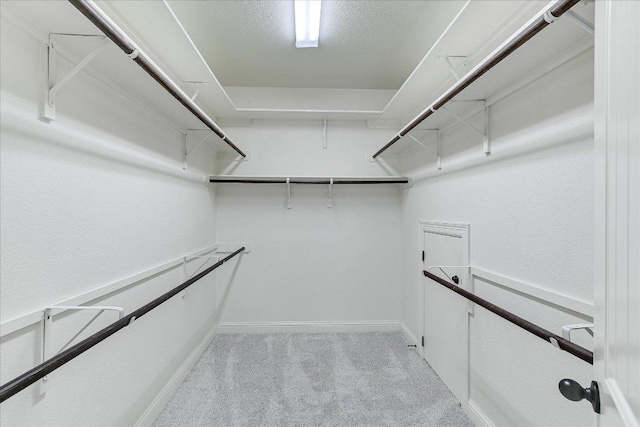 468 Monahans Dr, Georgetown, TX 78628 - spacious closet with light colored carpet