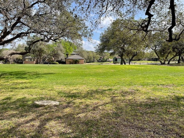 view of grassy yard