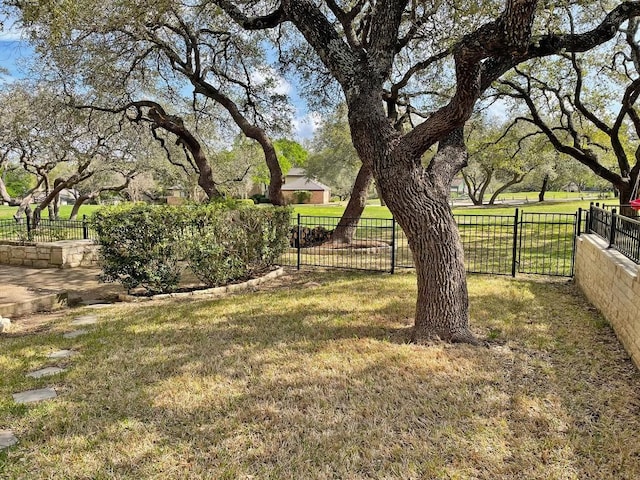 view of yard