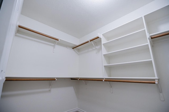 1420 Marsh Harbour Dr, Round Rock, TX 78664 - view of spacious closet