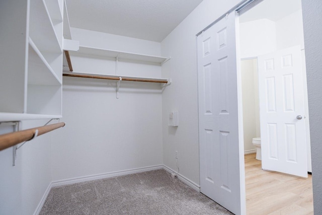 1420 Marsh Harbour Dr, Round Rock, TX 78664 - spacious closet with light colored carpet