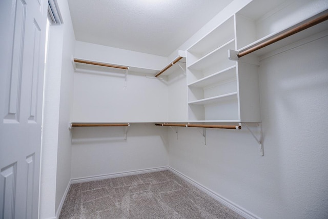 1420 Marsh Harbour Dr, Round Rock, TX 78664 - walk in closet featuring carpet