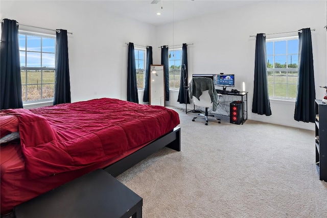 3424 S Old Bastrop Hwy, San Marcos, TX 78666 - carpeted bedroom with multiple windows