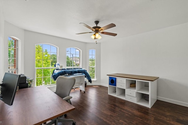 office space featuring a ceiling fan, baseboards, and wood finished floors