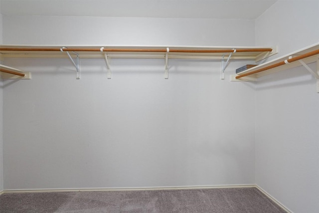 4329 Rock Hill Rd, Round Rock, TX 78681 - walk in closet with carpet floors