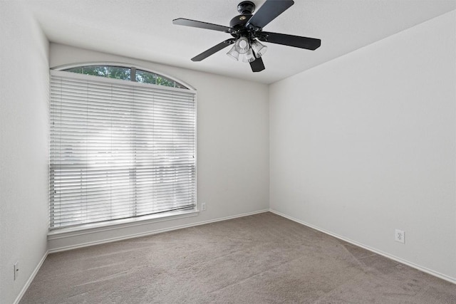 4329 Rock Hill Rd, Round Rock, TX 78681 - spare room with carpet and a ceiling fan