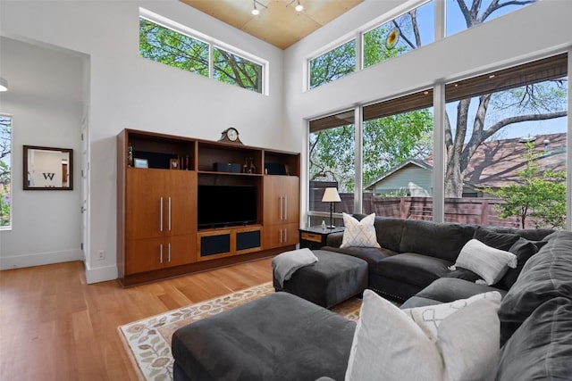 1809 Eva St, Austin, TX 78704 - photo 9