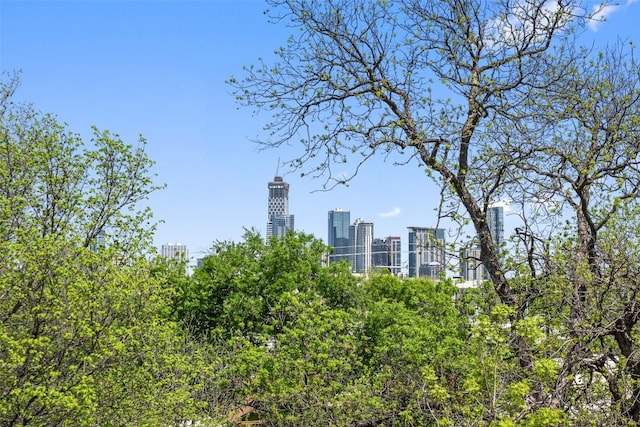 1809 Eva St, Austin, TX 78704 - photo 25