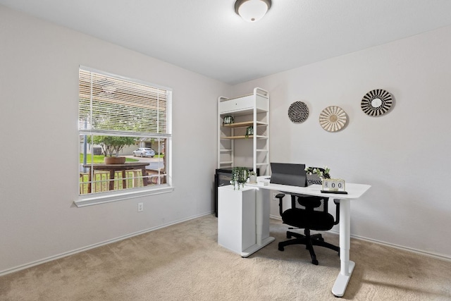 office area featuring carpet flooring and baseboards