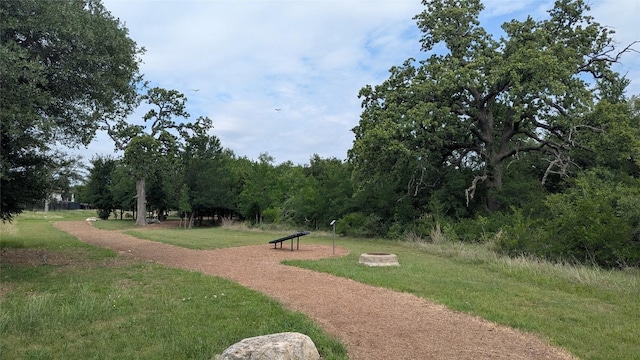 surrounding community with a lawn