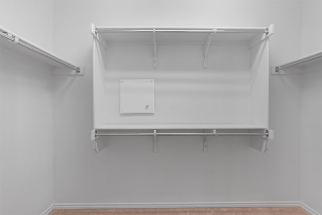 233 Crockett Loop, Georgetown, TX 78633 - spacious closet with carpet flooring