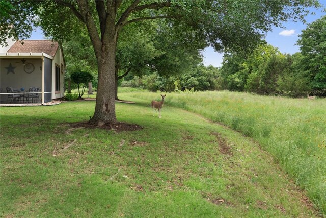 233 Crockett Loop, Georgetown, TX 78633 - view of grassy yard with a ceiling fan