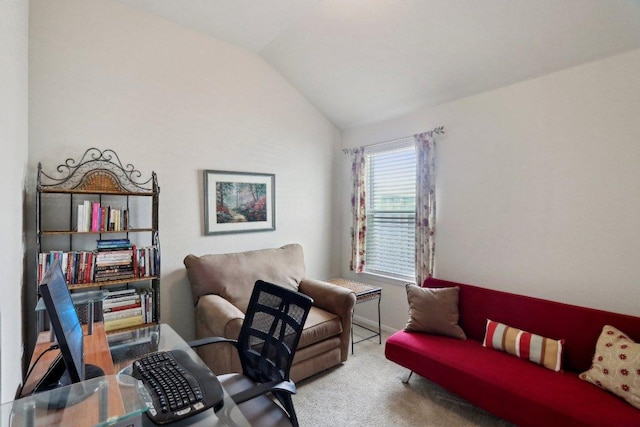 6032 Urbano Bnd, Round Rock, TX 78665 - carpeted office space featuring vaulted ceiling